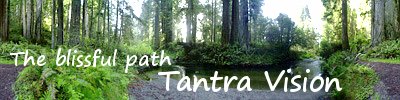 TANTRAVISION