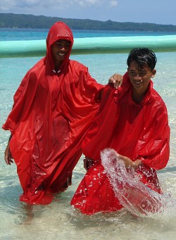Wet Companions
